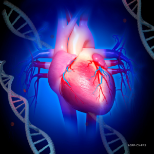 PRS Cardiovascular (CV-PRS)