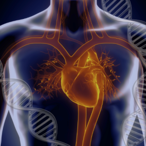 Cardiovascular PRS, Monogenic CVD & ACMG Genetic Test